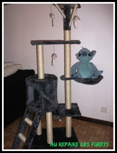 arbre a chat gifi montage